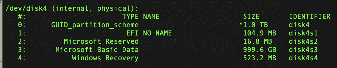 Terminal command shows drive identifiers